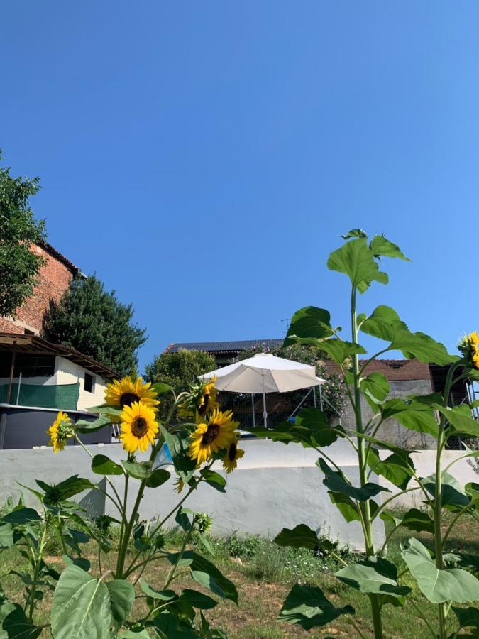 Ca' Degli Ovi B&B Valenza Exterior photo