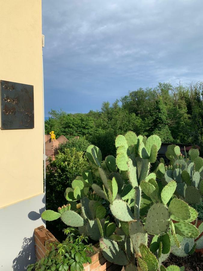 Ca' Degli Ovi B&B Valenza Exterior photo